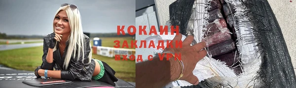 индика Дмитриев