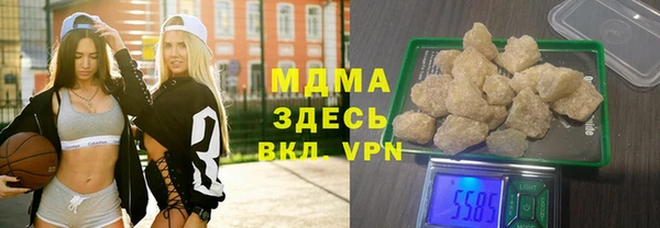 индика Дмитриев