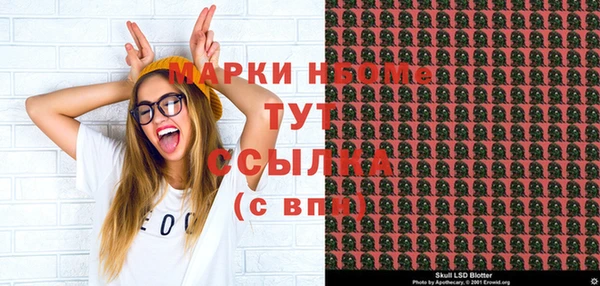 индика Дмитриев