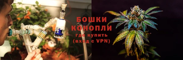 PSILOCYBIN Вязьма