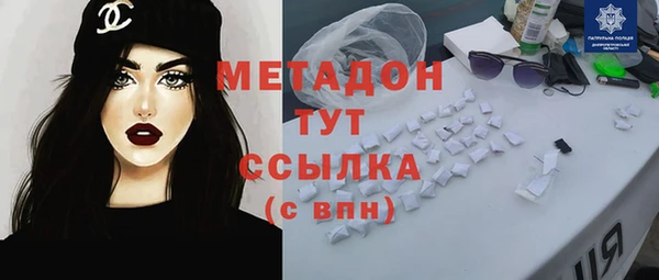 индика Дмитриев