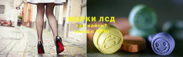 индика Дмитриев