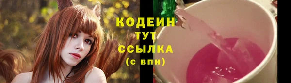 индика Дмитриев