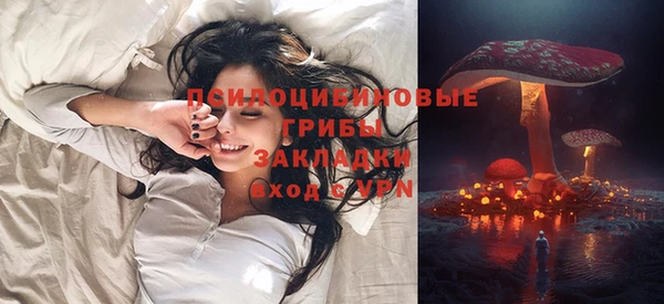 мяу мяу мука Дмитров