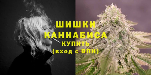 индика Дмитриев