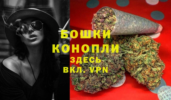 СК Елизово