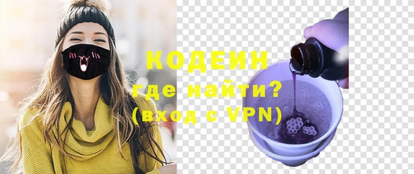 индика Дмитриев