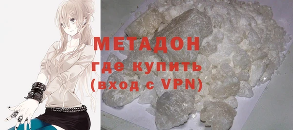 индика Дмитриев