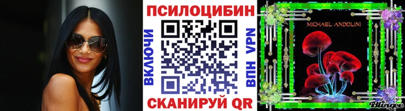 где купить наркоту  Ефремов  Псилоцибиновые грибы прущие грибы 