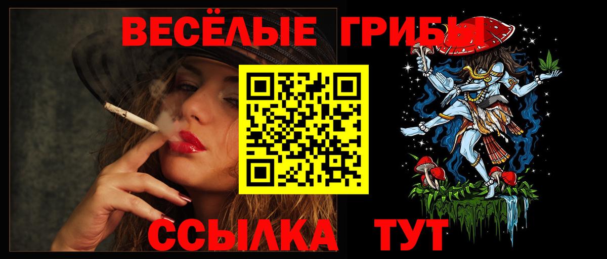 Псилоцибиновые грибы прущие грибы Ефремов