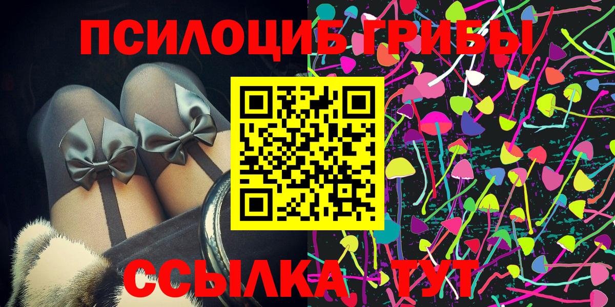 Псилоцибиновые грибы GOLDEN TEACHER  Вход с VPN  Ефремов  наркошоп  Галлюциногенные грибы прущие грибы 