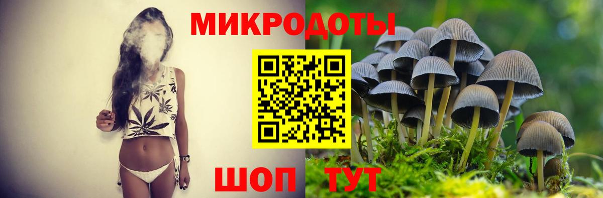 Псилоцибиновые грибы Magic Shrooms  Ефремов  цена   Галлюциногенные грибы мухоморы 