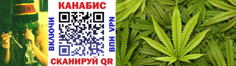 Каннабис OG Kush  Ефремов 