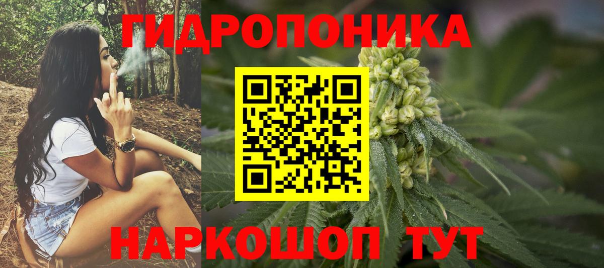 Бошки марихуана OG Kush Ефремов